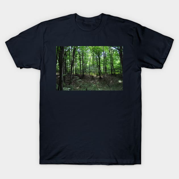 Trees in forest T-Shirt by KargacinArt